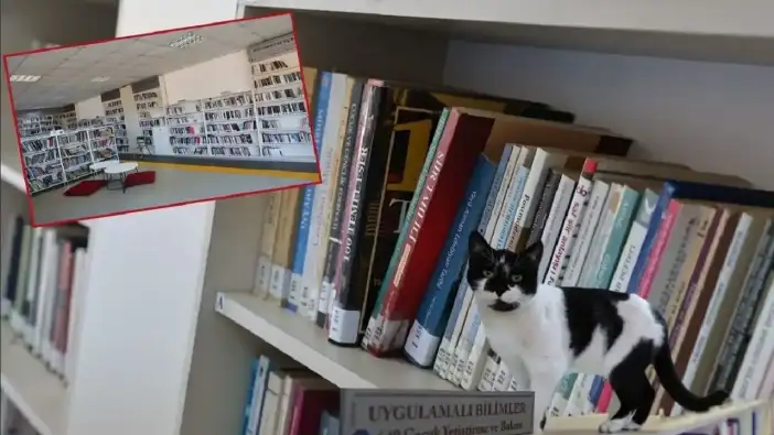 Antalya’daki Kitapseverler Dikkat: Bu Kütüphaneye Uğrayın!