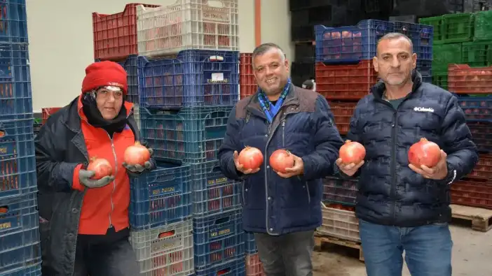 Korkuteli’den Nar İhracatı Başladı! Rota Rusya ve Ukrayna: Aylık 350–400 Ton