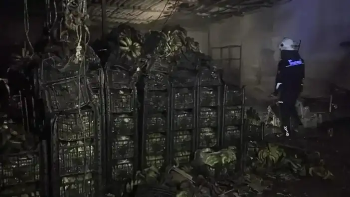 Alanya’da Muz Sarartma Deposunda Korkutan Yangın! Tonlarca Muz Alevler İçinde Yandı