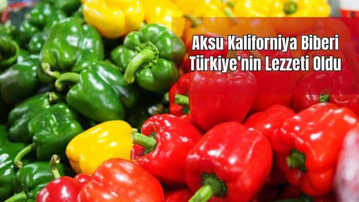 Aksu Kaliforniya Biberi Coğrafi Kimliğe Kavuşuyor