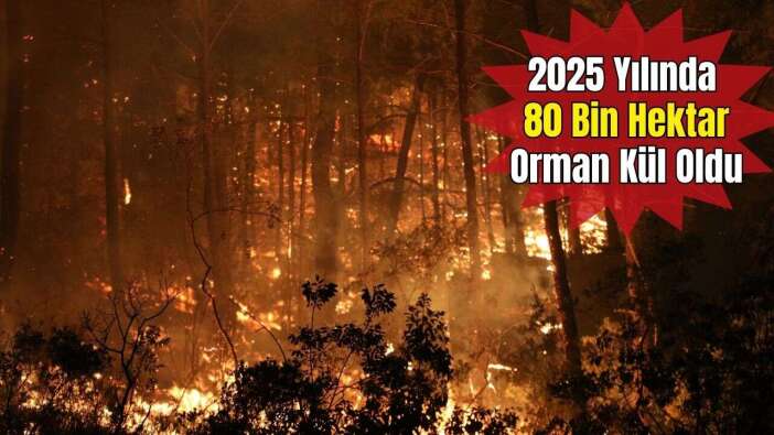 2025’in Ateş Çemberi: Türkiye’de 6 Bin 800 Orman Yangın, Antalya’da 13 Nokta!