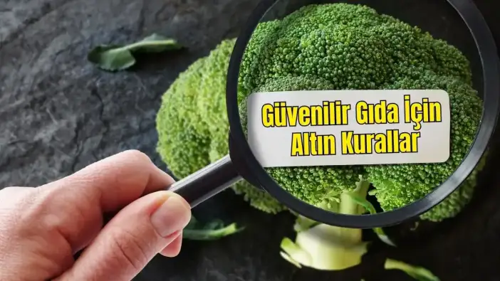 Alışverişten Mutfağa Bakanlık'tan Gıda Güvenliği Rehberi