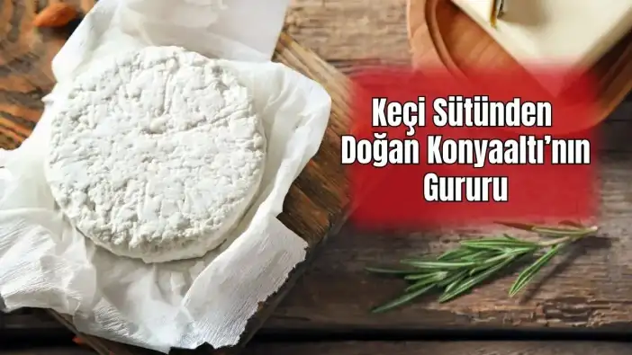 Konyaaltı Keçi Peyniri Antalya’nın Yeni Markası Olacak