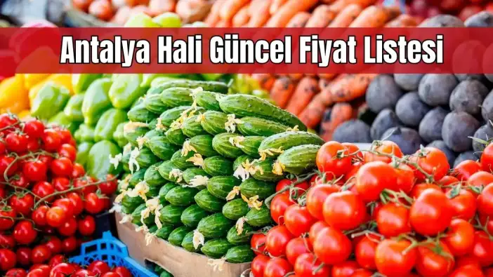 Antalya'da Güncel Sebze Meyve Fiyatları Açıklandı: Antalya Hali 3 Ocak Fiyat Listesi