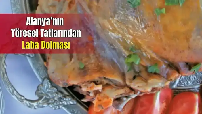 Keçi Eti ve Bademli Alanya Laba Dolması Tescil Yolunda! Alanya Laba Dolması Nasıl Yapılır?