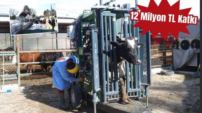Antalya'da Hayvancılığa Rekor Destek! Milyonları Aştı