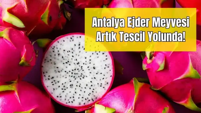 Tropikal güç Antalya’da: Ejder Meyvesi İçin Türk Patent’e Başvuru!