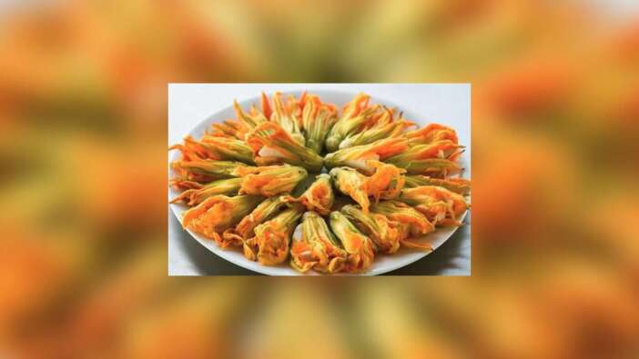 Antalya Kabak Çiçeği Dolması İçin Coğrafi İşaret Başvurusu