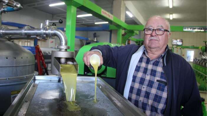 Kumluca’da Zeytinyağı Bereketi