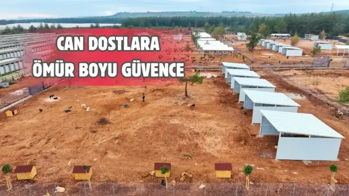 Antalya’da Can Dostlara Müjde: Bakımevi Alanı 84 Dönüme Çıktı!