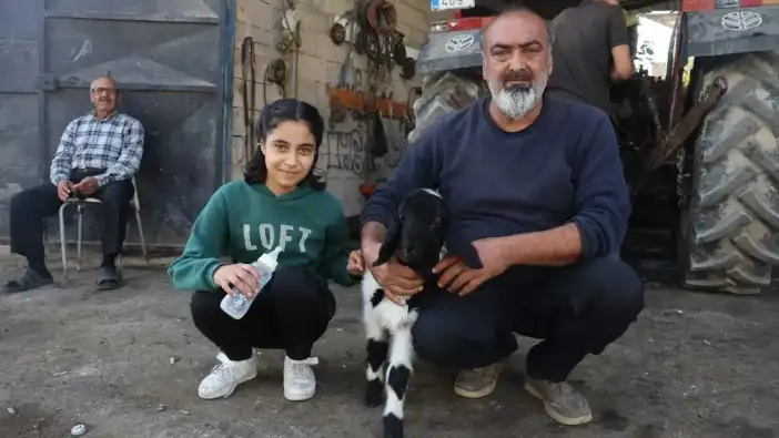 Hatay’da Kuzu Karabaş Ailenin Çocuğu Gibi Büyüyor!