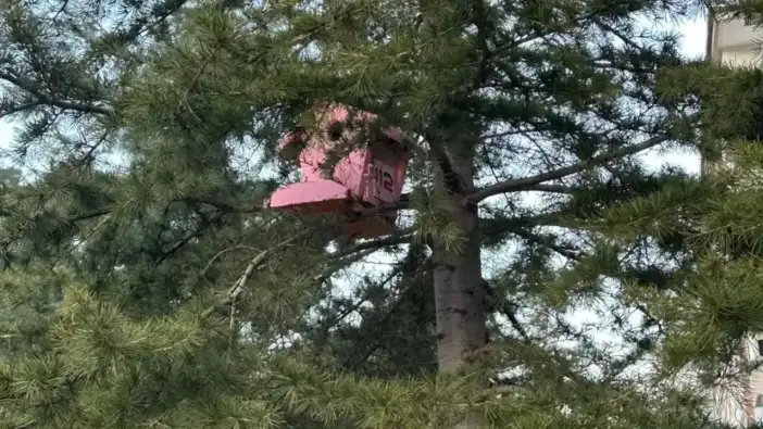 Antalya’nın Kuşlarına Renkli Yuvalar