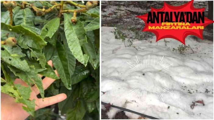 Alanya'da Üreticiyi Fırtına ve Dolu Vurdu! Tablo Can Sıktı!