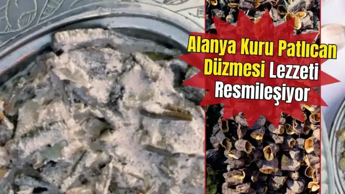 Antalya’nın Yerel Mutfağına Koruma: Alanya Kuru Patlıcan Taratoru Coğrafi İşaret Başvurusunda