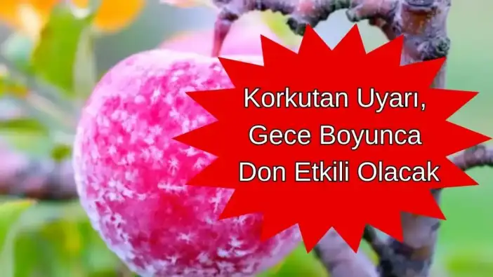Antalyalı Üreticiler İçin Korkulu Gece Uyarısı: Zirai Don Alarmı