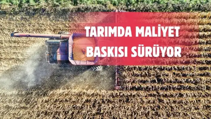 Çiftçinin Enflasyonu Tüketiciyi Solladı! TÜİK Açıkladı