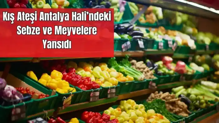 Antalya Hali’nde Kış Tarifesi Cep Yakıyor