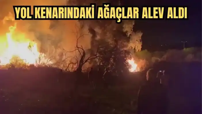Manavgat'ta Alevler Karayolunu Aydınlattı! Yol Kenarındaki Ağaçlar Alev Aldı