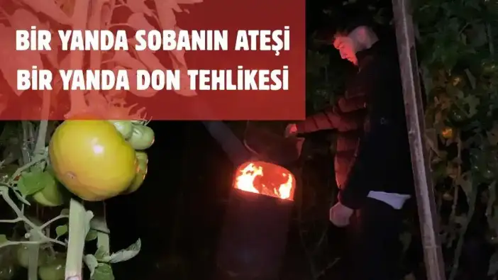 Termometrelerin Eksiye Düştüğü Mersin’de Zirai Don Seferberliği