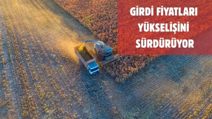 Tarımda Maliyet Baskısı Üreticinin Cebini Yakıyor! TÜİK Açıkladı