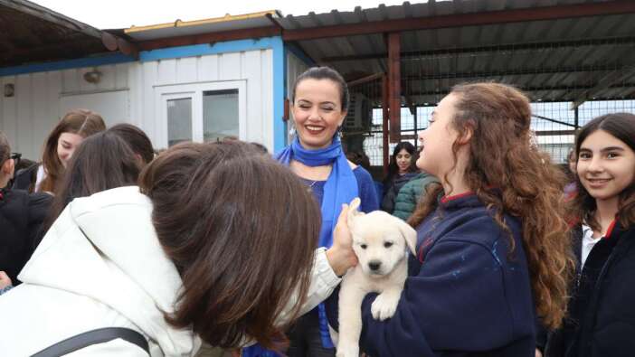 Aksu Belediyesi’nden Sokak Hayvanlarına Destek