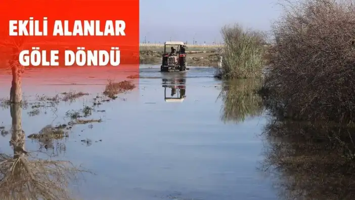 Hatay’da Çiftçinin Kaderi Değişmedi: Kuraklıktan Sonra Sel Vurdu!