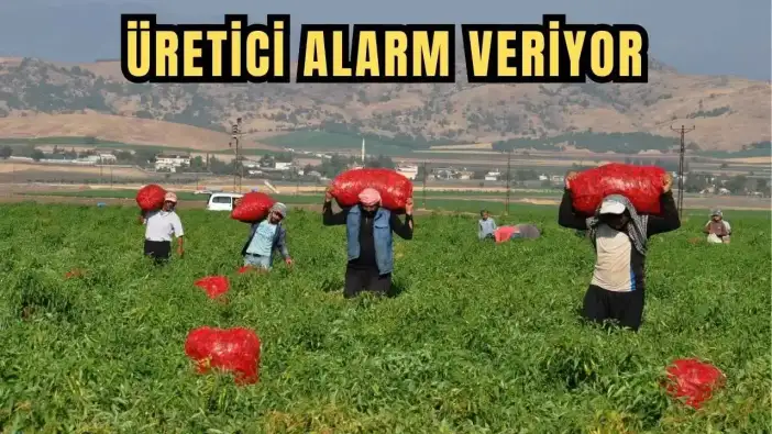 ATB Başkanı Ali Çandır: 'Tarımda Maliyetler Rekor Kırdı'