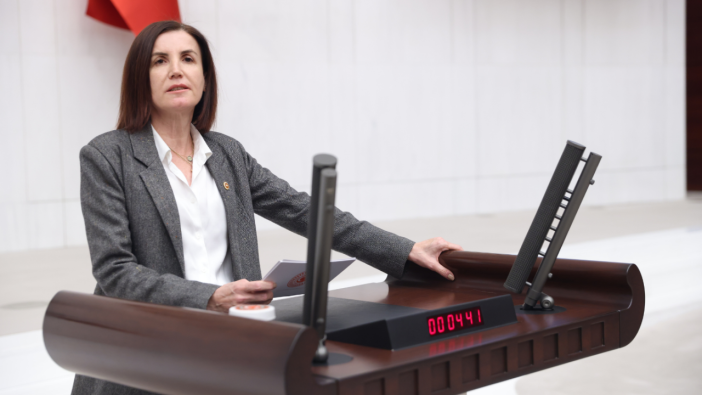 CHP’li Coşar TBMM’de Konuştu: Emekli Açlıkla Sınanıyor