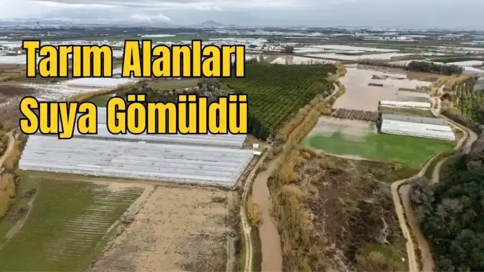 Antalya'da Tarım Çamura Gömüldü: Soğucaksu Deresi Taştı