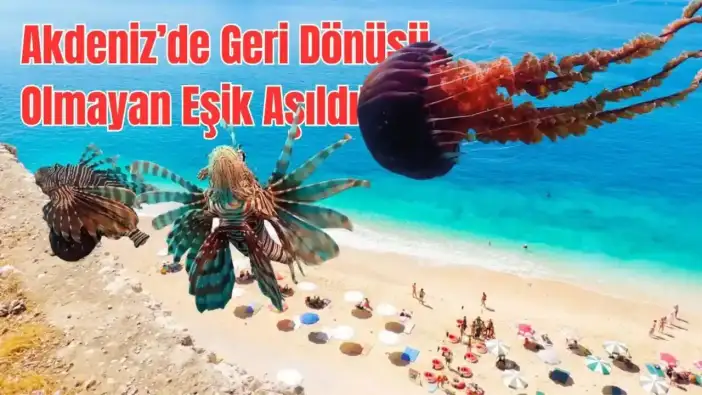 Antalya Denizinde Ekolojik Kırılma, Tarihi Rekor!