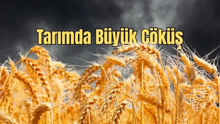 Antalya Tarımı Alarm Veriyor: Milli Gelirdeki Pay Yarı Yarıya Düştü!