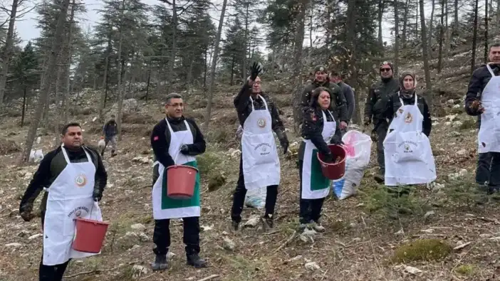 Burdur Bucak’ta Sedir Tohumu Seferberliği