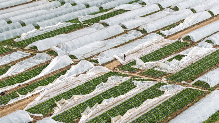 Hortumun Faturası Ağır oldu: İşte Antalya Hali Güncel Fiyat Listesi