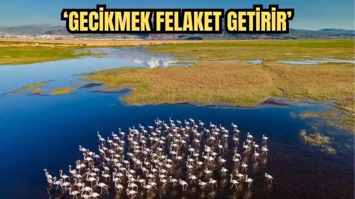 TVHB’den Dünya Sulak Alanlar Günü Uyarı: ‘Gecikmek Felaket Getirir’