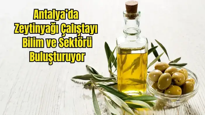 Antalya'da 2035 Zeytin ve Zeytinyağı Yol Haritası Çizilecek