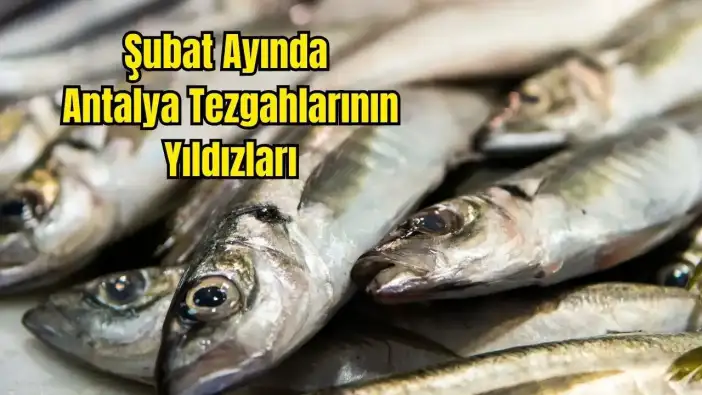 Antalya'da Şubatta Hangi Balıklar Yenir? Şubat Ayının En Lezzetli Balıkları
