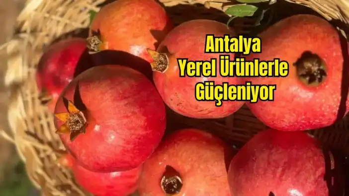 Antalya’nın Bereketli Döşemealtı Narı İçin Başvuru Yapıldı