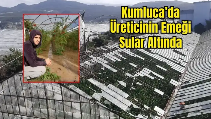 Kumluca'da Hasar Büyük! Sağanak ve Hortum Sera ve Narenciyeleri Vurdu