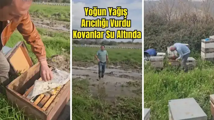 Finike’de Sel Kovanları Vurdu, Arıcılar Büyük Zararda!