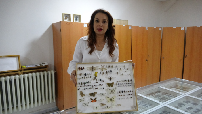 ISUBÜ’deki Böcek Müzesi 30 Bin Örnekle Bilime Katkı Sunuyor