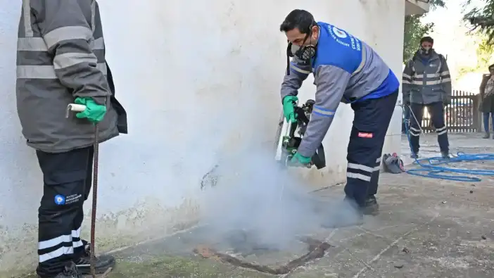 Antalya’da Haşere Ordusuna Kış Darbesi