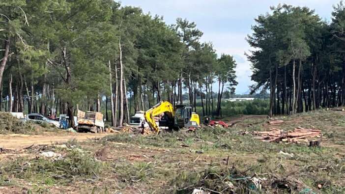 Kurşunlu Ormanı'nda neler oluyor? İYİ Parti'li Kaya'dan 