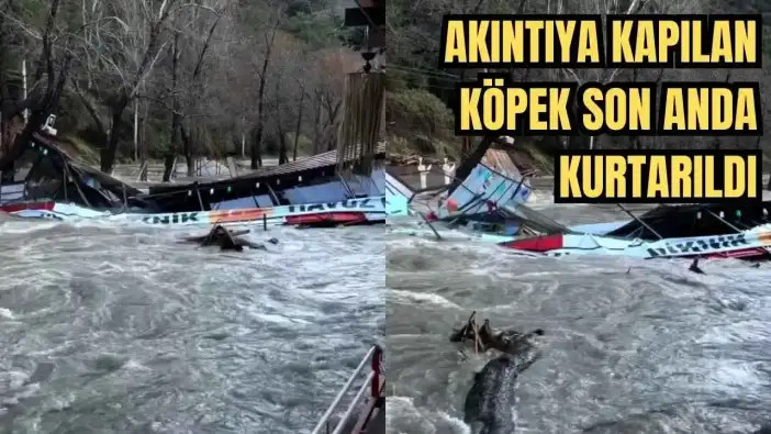 Alanya’da Sel Felaketi! Dim ve Oba Çayı Taştı, İşletmeler Yıkıldı