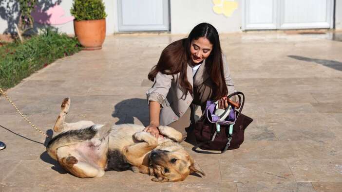 Antalya’da Can Dostlar Yeni Sahiplerini Bekliyor