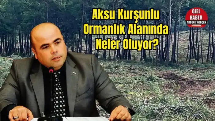Aksu Kent Konseyi'nden Kurşunlu Ormanı Açıklaması: Kesim Durduruldu Mu?