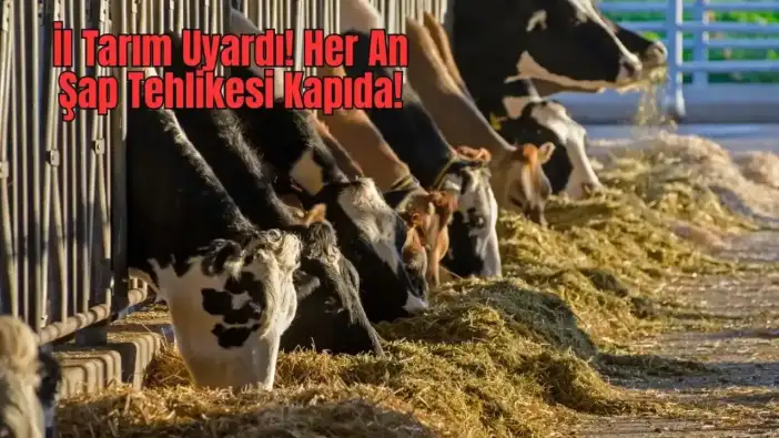 Antalya’daki Üreticiye Kritik Şap Aşısı Uyarısı