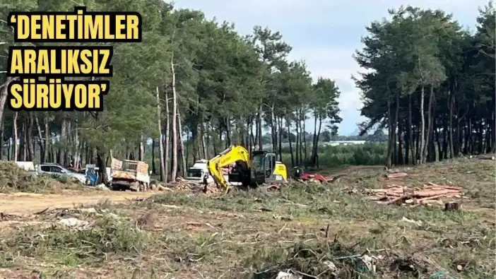 Aksu'da Orman Kesimi Sürerken Müdürlükten Denetim Vurgusu!