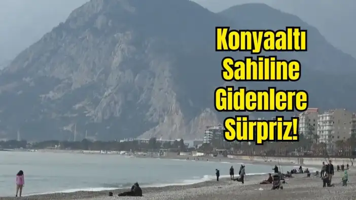 Konyaaltı Semalarında Bahar Müjdesi: İlk Leylek Görüldü