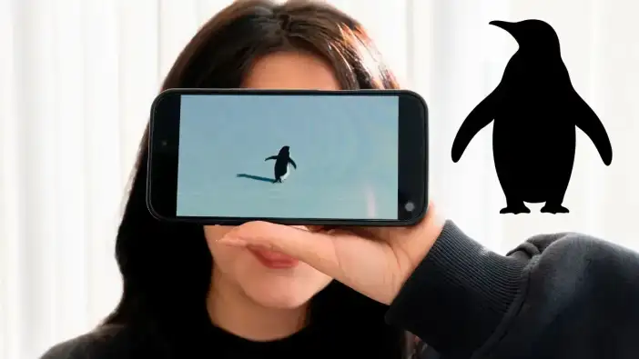 Akdeniz Üniversitesi’nden Çarpıcı Analiz: 'Nihilist Penguen' Aslında Biziz