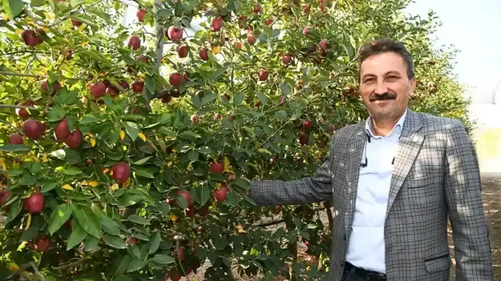 Isparta Elması İçin "Gönül Rahatlığıyla Yiyin" Çağrısı